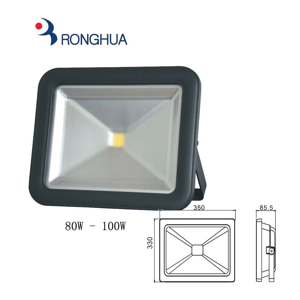 RH569 LED Light 80w 100w